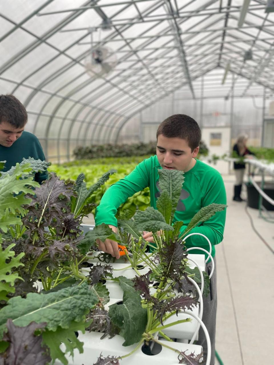 Dylan, 16, a student at Somerset Hills Learning Institute in Bedminster, works at the school’s social enterprise Three Meadows Farm. He and his fellow students have brought a new product, Paradise Salad, to ShopRite of Chester, their first retail partner.