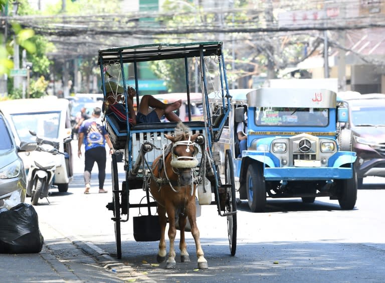 The driver of a horse-drawn carriage takes shelter under a tree as he waits for tourists during a heatwave in the Philippine capital Manila (Ted ALJIBE)