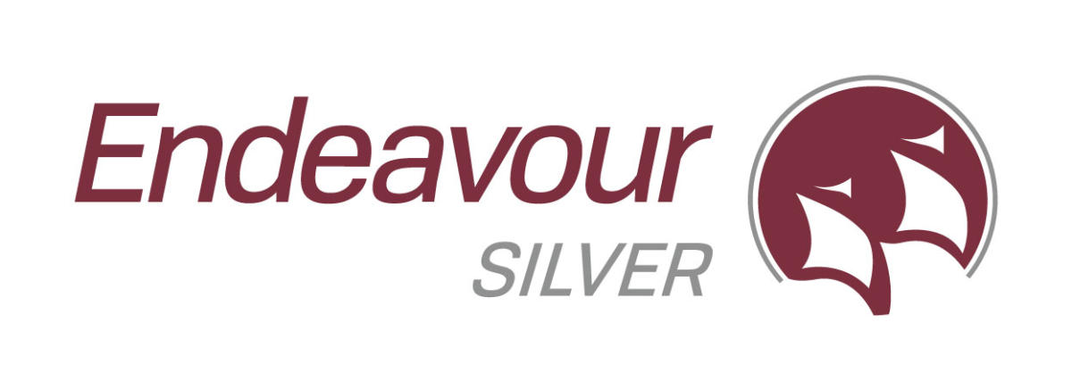 Endeavour перевод. Endeavor компания. Silver Endeavour. Silver Wind Corporation лого. Endeavor лого Тольятти.