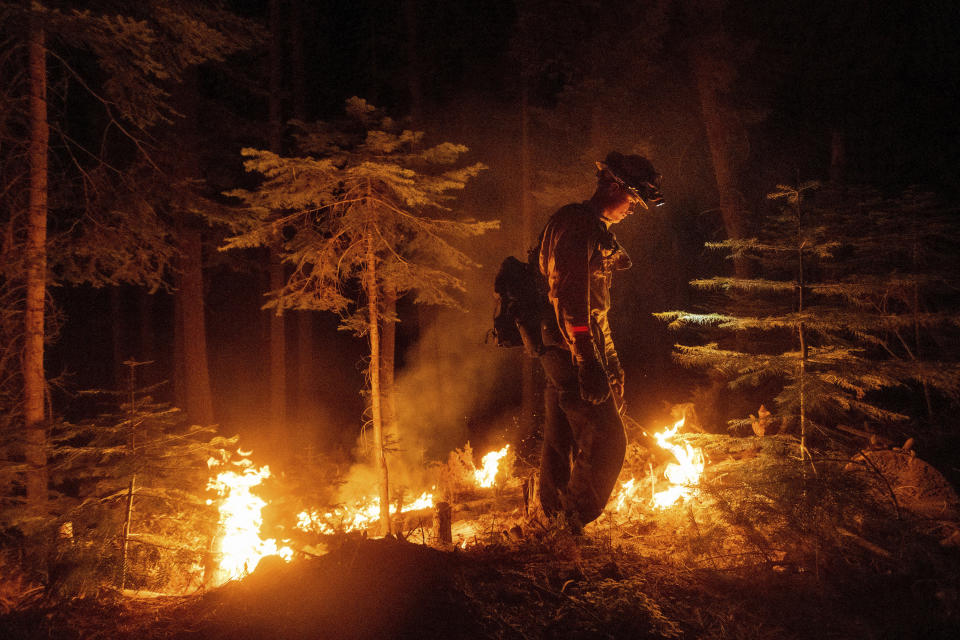 A firefighter uses a drip torch to ignite vegetation while trying to stop the Dixie Fire from spreading in Lassen National Forest, Calif., on Monday, July 26, 2021. (AP Photo/Noah Berger)