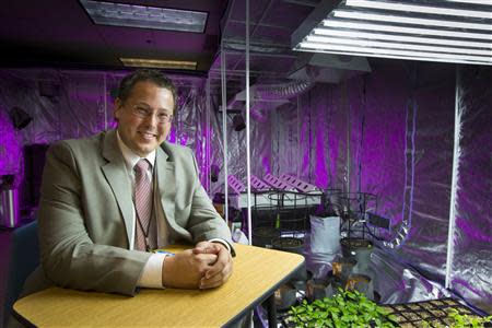 Jeremy Bufford, founder of Medical Marijuana Tampa, poses inside a grow room at the Medical Marijuana Tampa campus in Tampa, Florida May 6, 2014. REUTERS/Scott Audette