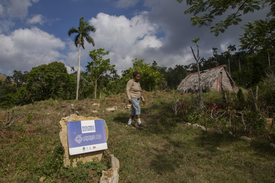 Eloísa Bocourt Vigil camina por su finca La Caléndula, partícipe del proyecto "Conectando Paisajes" en la Sierra del Rosario, en la provincia de Artemisa, Cuba, el miércoles 22 de febrero de 2023. "Conectando Paisajes" es un proyecto que pretende proteger la biodiversidad de las montañas, desde la base hasta la cima. (AP Foto/Ismael Francisco)