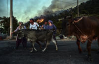 People leave with their animals as advancing fires rage Hisaronu area, Turkey, Monday, Aug. 2, 2021. For the sixth straight day, Turkish firefighters battled Monday to control the blazes that are tearing through forests near Turkey's beach destinations. Fed by strong winds and scorching temperatures, the fires that began Wednesday have left eight people dead. Residents and tourists have fled vacation resorts in flotillas of small boats or convoys of cars and trucks. (AP Photo)