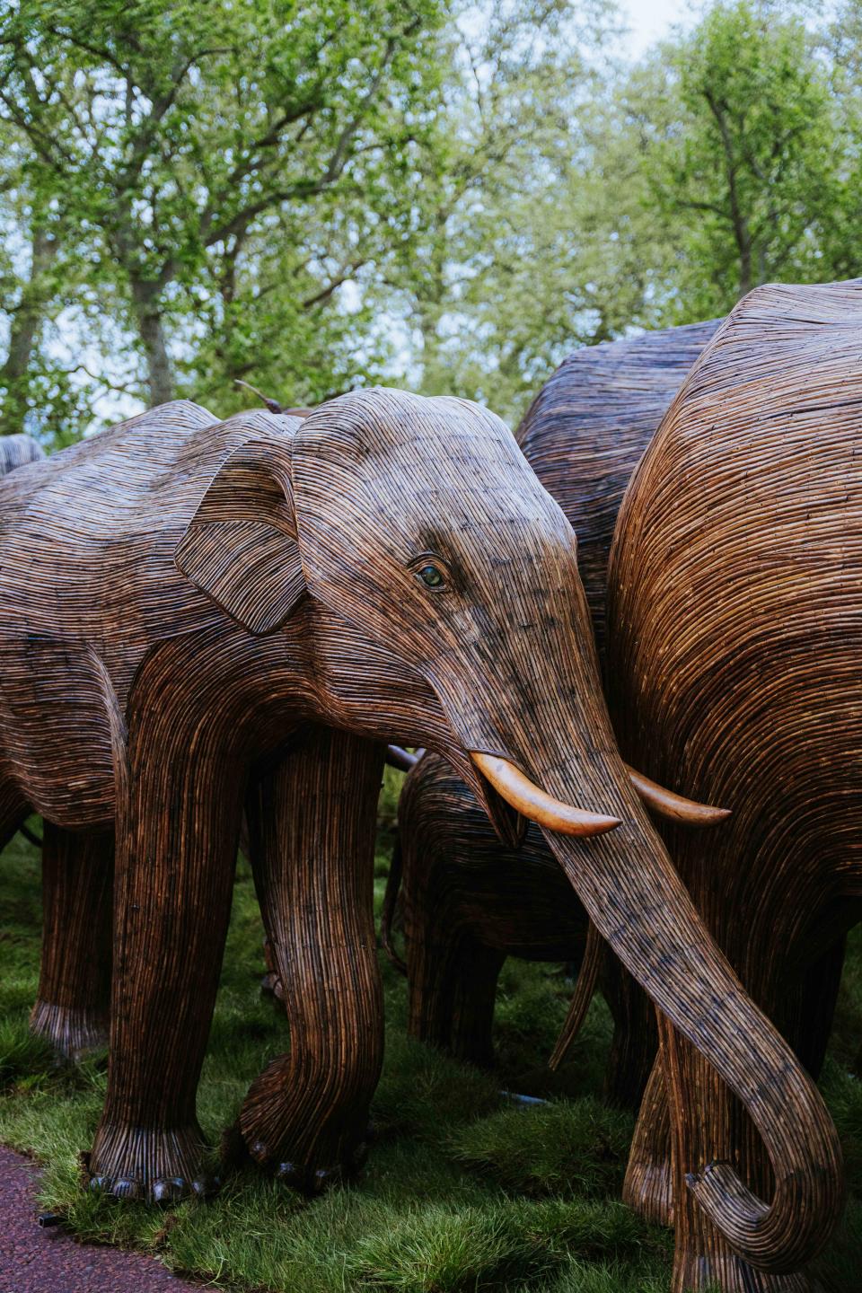 The elephants were created using lantana, an invasive weed (Grant Walker/PA)
