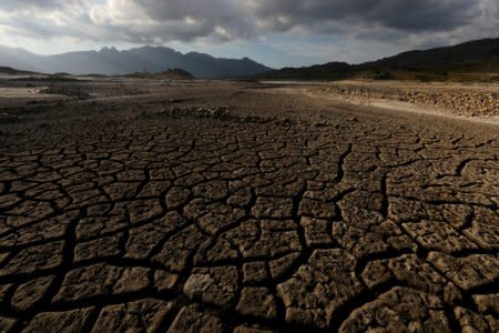 FILE PHOTO: Sand blows across a normally submerged area at Theewaterskloof dam near Cape Town, South Africa, January 21, 2018.  REUTERS/Mike Hutchings/File Photo