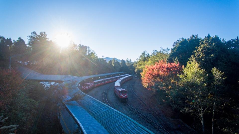 阿里山林業鐵路30日除阿里山往嘉義列車正常營運(疏散遊客)，自08時停駛。   圖：翻攝自林業鐵路及文化資產管理處官網