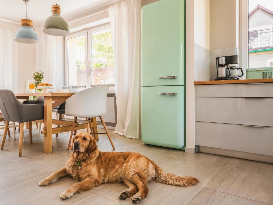 Kitchen with retro pastel-green fridge and Smeg