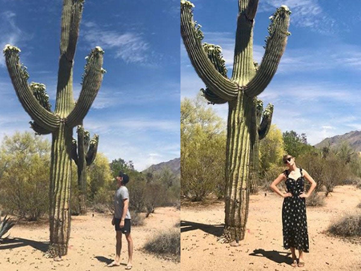 joe alwyn taylor swift cactus