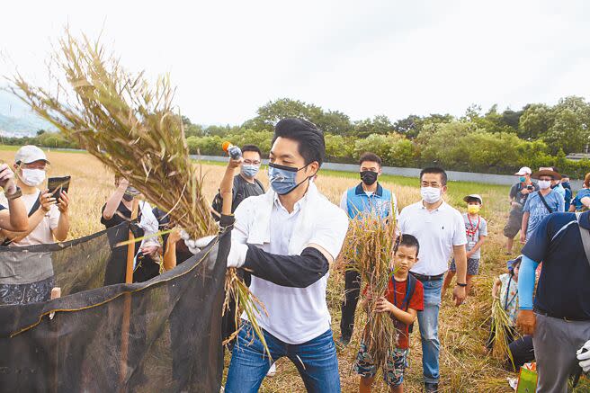 北投割稻趣體驗活動30日舉辦，台北市副市長黃珊珊及國民黨市長參選人蔣萬安（見圖）同台拚人氣，兩人分別體驗割稻、脫穀、碾米、稻草人裝飾等水稻文化。（鄧博仁攝）