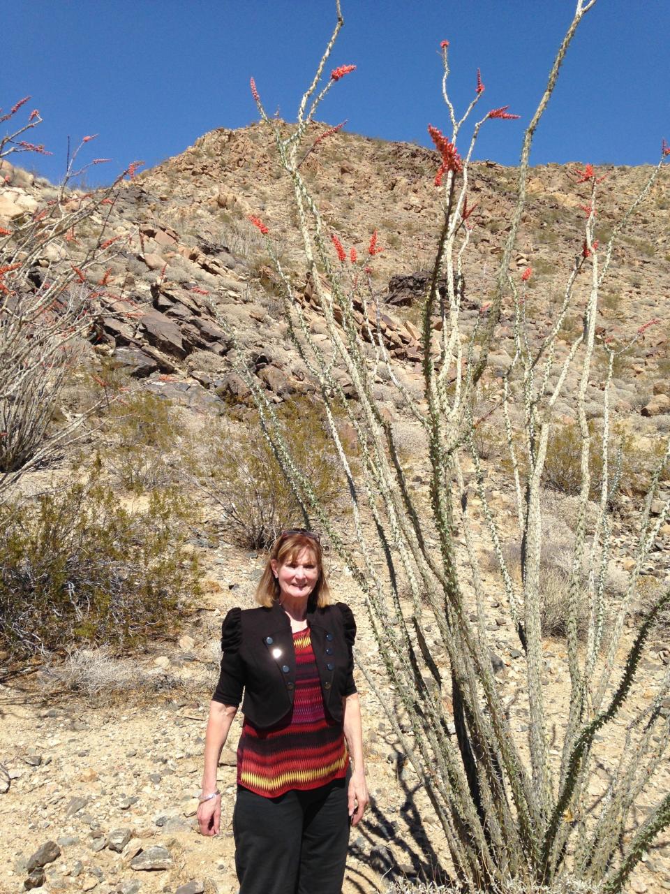 Spouse Susan next to 18’ tall Ocotillo plant, blooming red after rain.