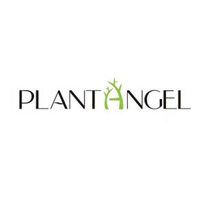 Plant Angel