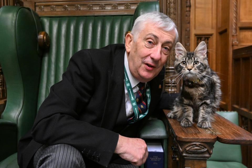 Sir Lindsay Hoyle with his new kitten (UK Parliament/Jessica Taylor/PA) (PA Media)