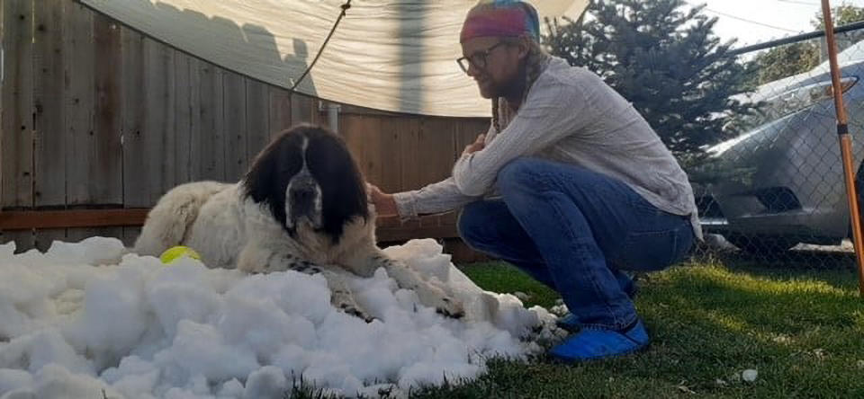 Elijah Saltzgaber with his dog, Maggie, who died of cancer. She sits on a mound of makeshift snow.