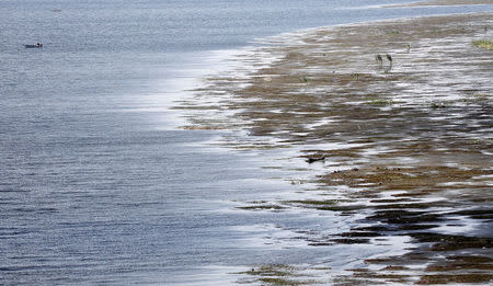 FILE PHOTO: Men fish from boats during low tide on the river Nile in Cairo, Egypt, November 19, 2015. REUTERS/Amr Abdallah Dalsh/File Photo