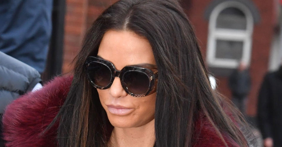 Katie Price told MPs that “the most horrific things” had been said to her disabled son Harvey
