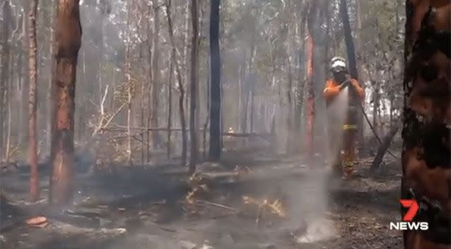 Fire crews working north of Sydney. Source: 7News