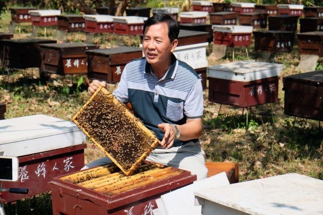 Taiwan beekeepers battle to cash in on pure honey buzz