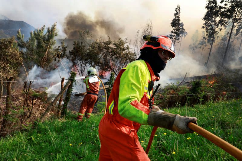 Firefighters tackle a blaze near the village of Setienes during an outbreak of wildfires in northern Spain's Asturias region