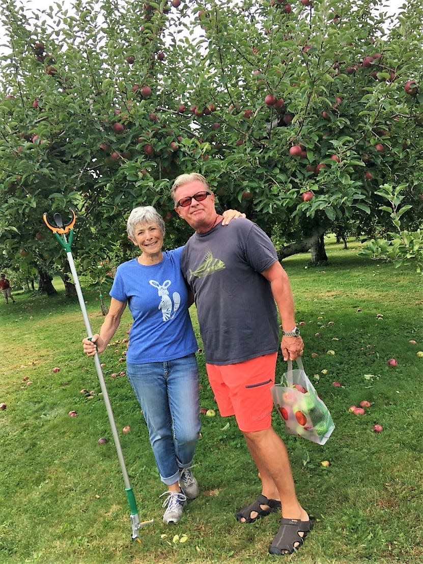 Head out to an apple orchard to get the freshest apples in Newport County.