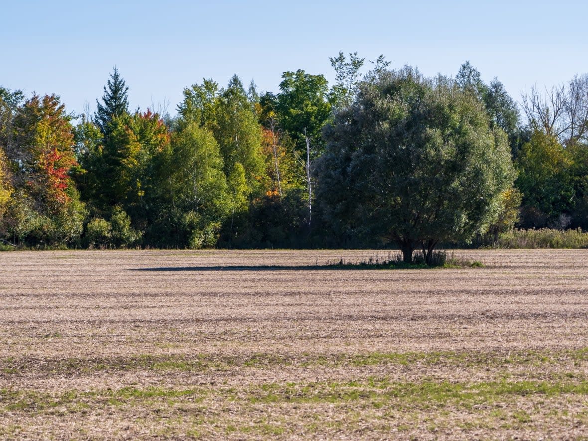 The City of Ottawa has identified an area that will form the future sustainable community called Tewin, as proposed by the Algonquins of Ontario and their partner Taggart. (Francis Ferland/CBC - image credit)