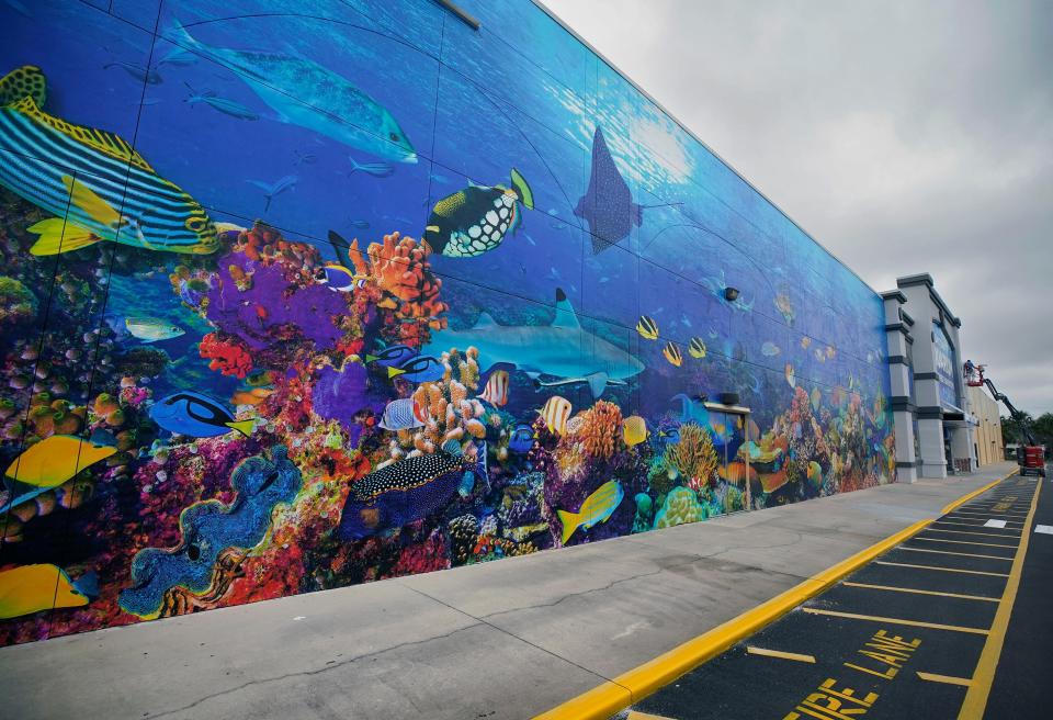 A colorful mural now adorns the wall of the soon-to-open Daytona Aquarium & Rainforest Adventure at the intersection of International Speedway Boulevard and Nova Road in Daytona Beach. The attraction, which is expected to open in the first quarter of 2024, is sparking optimism by area tourism leaders.