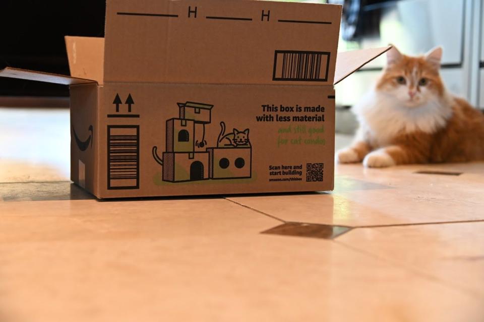 Amazon's new boxes include directions on how to turn them into cat condos.