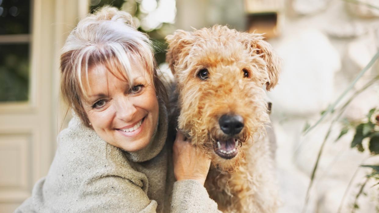  Woman hugging Airedale Terrier. 