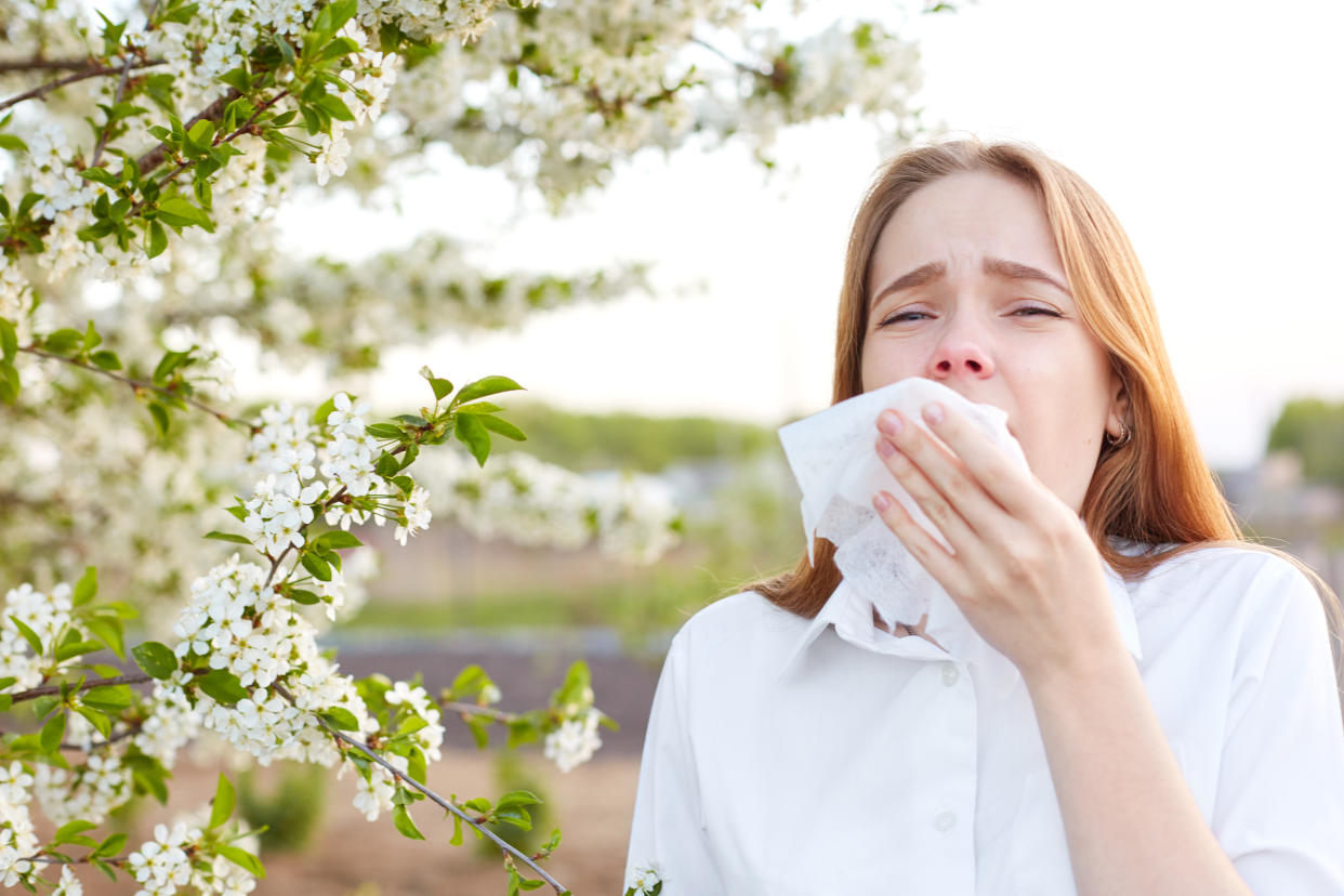 Outdoor shot of displeased Caucasian woman feels allergy, holds white tissuue, stands near tree with blossom, feels unwell, sneezes all time. People and health problems. Spring time. Blooming