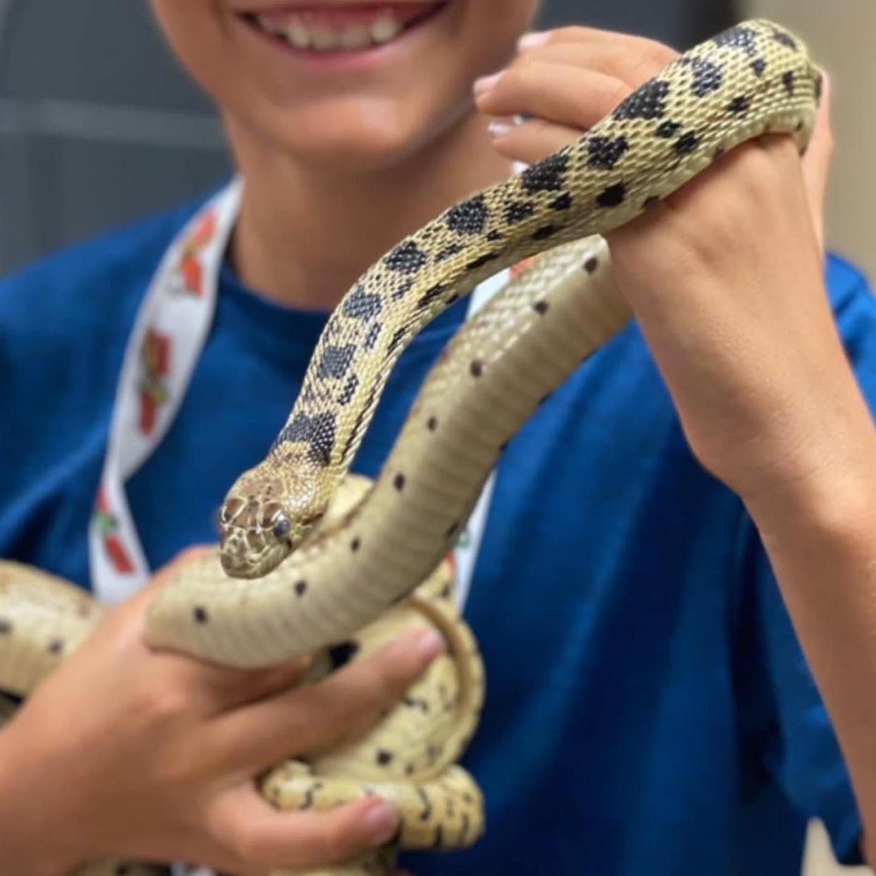 The High Desert Reptile & Pet Expo is coming to the San Bernardino County Fairgrounds in Victorville in December.