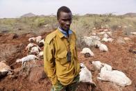 Guyo Gufu stands next to the corpses of his livestock, near Huri Hills, Marsabit county