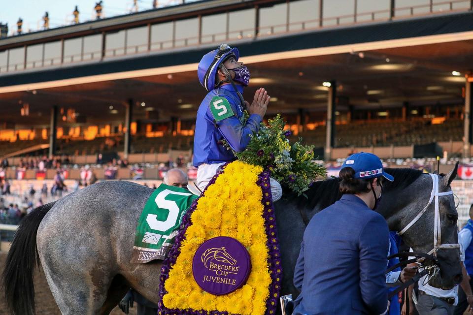 Luis Saez aboard Essential Quality (5) reacts after winning the Breeder's Cup Juvenile race during the 37th Breeders Cup World Championship at Keeneland Race Track.