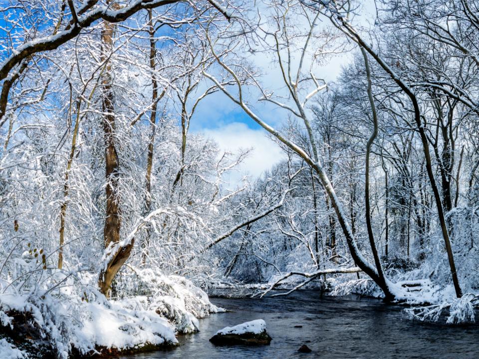 Snow Panorama in Tennessee.