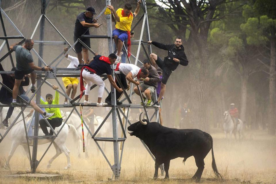 Manu Fernandez/AP Photo