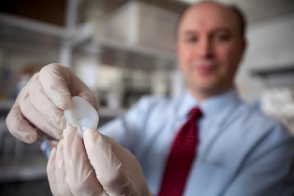 Mechanical engineer Larry Bonassar holds a fabricated ear printed with a 3D printer in his lab at Cornell University's Weill Hall.