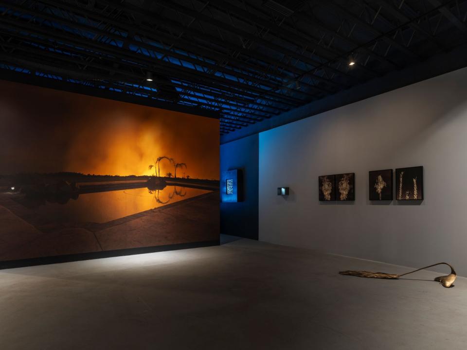 The exhibition "Palm Trees Also Die" on display at The Elemental in Palm Springs, Calif., is the second installment in the gallery's "GAIA Hypothesis" series.