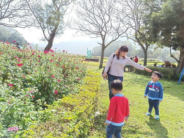 大溪花海農場14