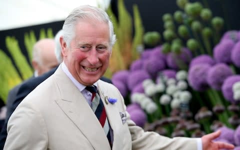 Prince Charles has been portrayed as the big, bad boy of the Royal Family - Credit: Getty Images Europe