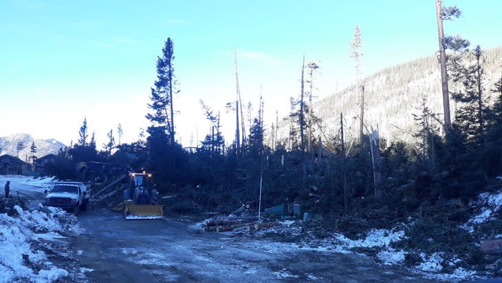 <span class="article__caption">Down trees near Taos Ski Valley. </span> (Photo: Bowe Ellis)