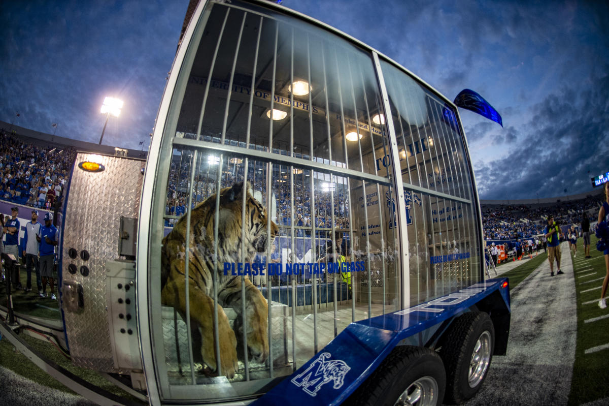 NCAA news: Memphis' live tiger mascot, TOM III, dies at 12 - Yahoo Sports