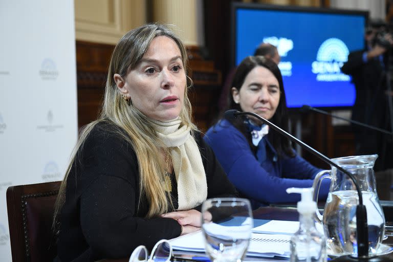 Juliana Di Tullio le respondió a Mauricio Macri sobre el atentado a Cristina Kirchner: “No existen los lobos sueltos”