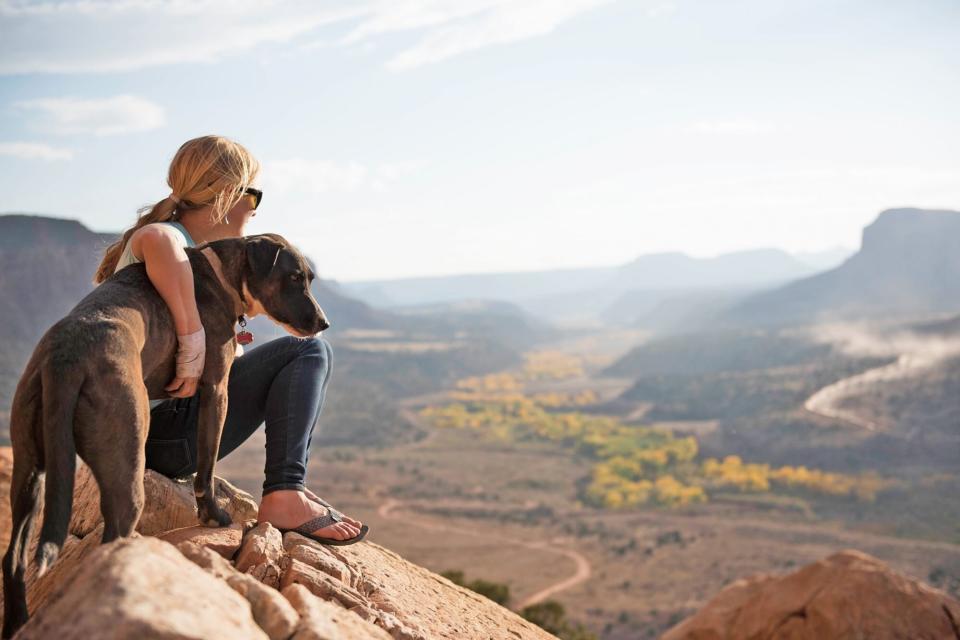 dog with valley fever sitting on a cliffside with a blonde woman