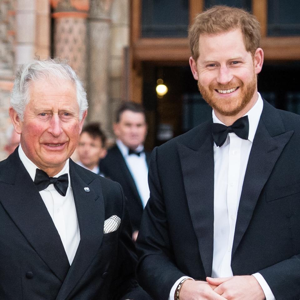 Prince Harry, Prince Charles