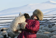 <p>Tanzurun Darisyu, head of a Tuvan private farm located in the Kara-Charyaa area south of Kyzyl town, the administrative center of the Republic of Tuva, holds a lamb in southern Siberia, Russia, on Feb. 14, 2018. (Photo: Ilya Naymushin/Reuters) </p>