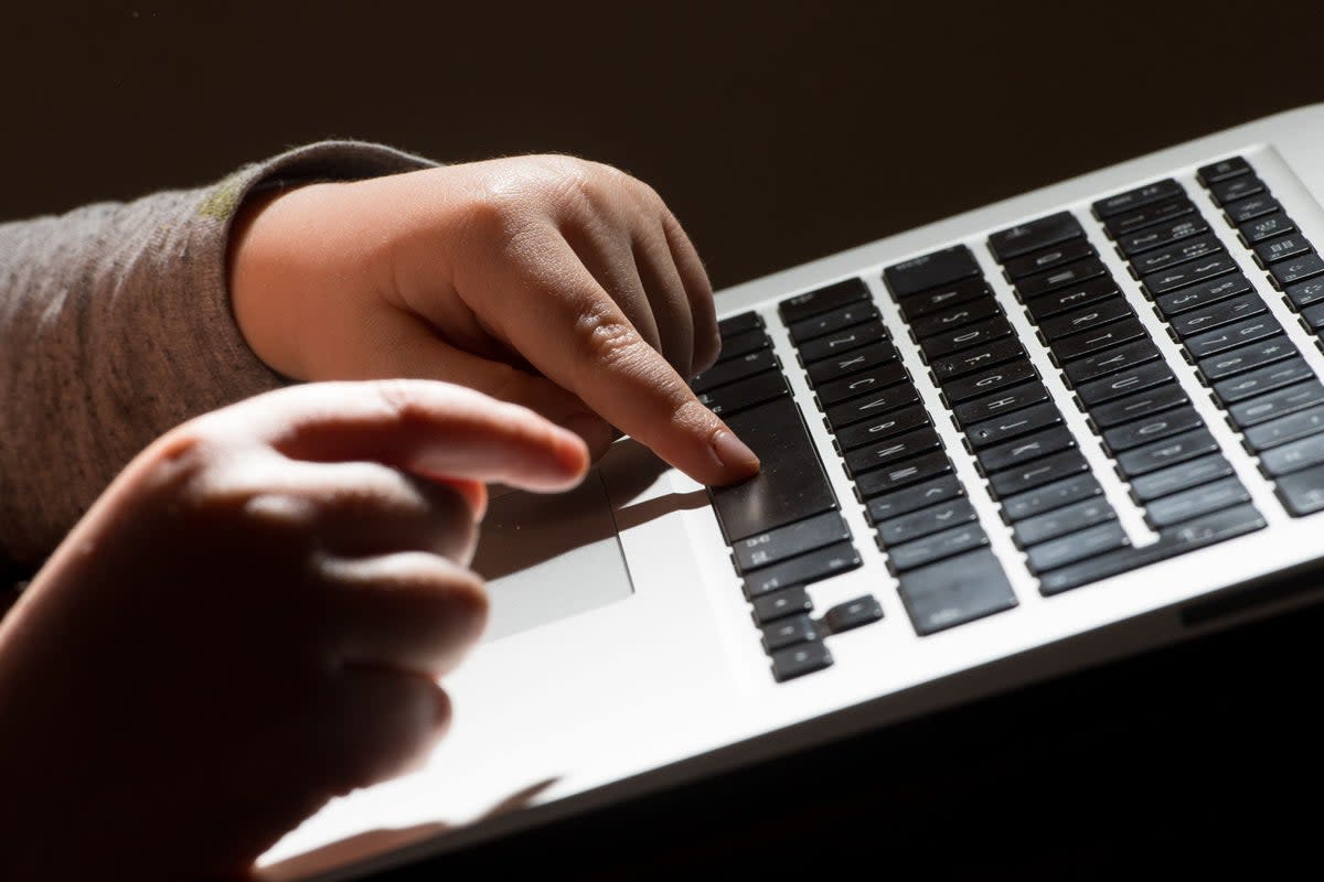 A child using a laptop computer (Dominic Lipinski/PA) (PA Wire)