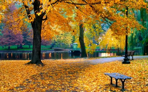 A public garden in Boston in autumn - Credit: AP