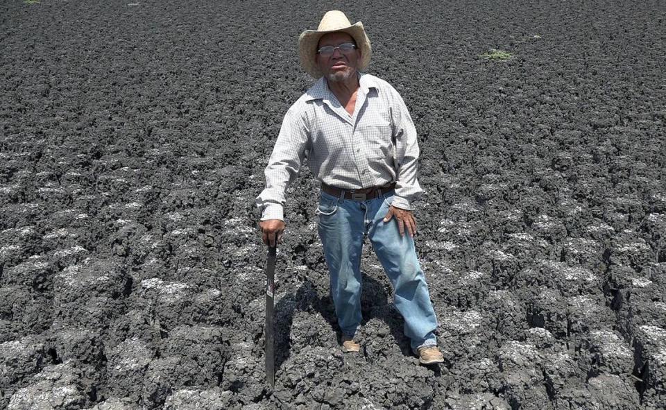 El campesino Ambrosio Rodríguez posa el 26 de abril de 2024, en el poblado San Matías Chilazoa, municipio Ejutla de Crespo, Oaxaca. Campesinos indígenas del sur de México diseñan sus propios sistemas para captar lluvia en Oaxaca donde cerca de dos tercios de los municipios viven algún grado de sequía, una de las mayores crisis hídricas del país. Jesús Méndez/Agencia EFE