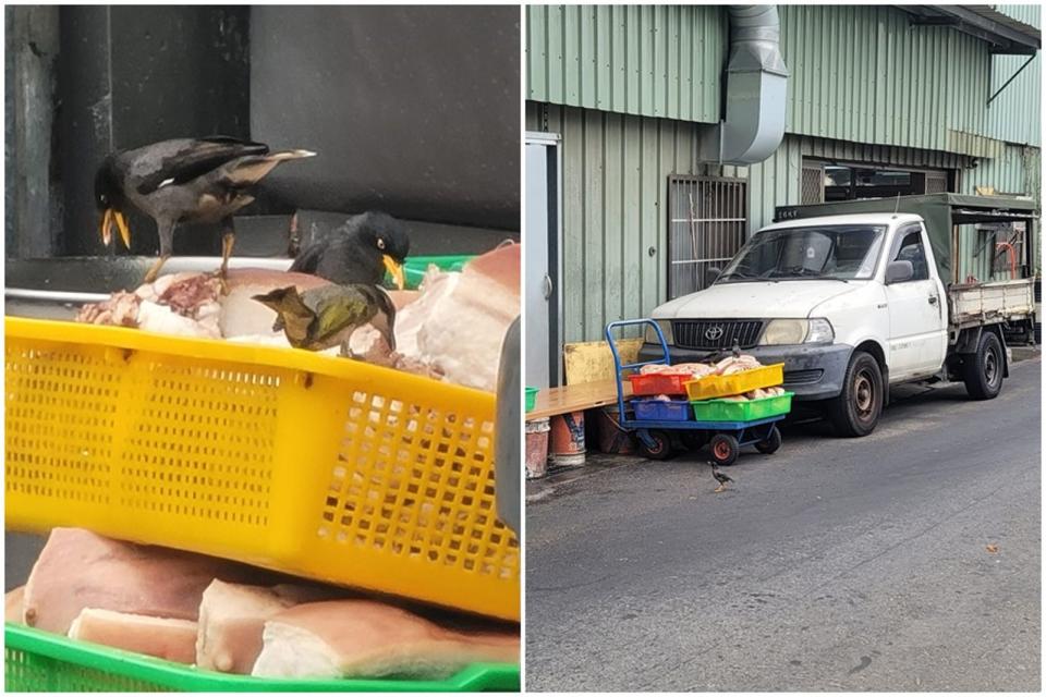 台中北屯水湳某知名爌肉飯餐廳，將備用食材放置路邊，任由鳥類啄食。（翻攝自臉書「爆料公社公開版」）