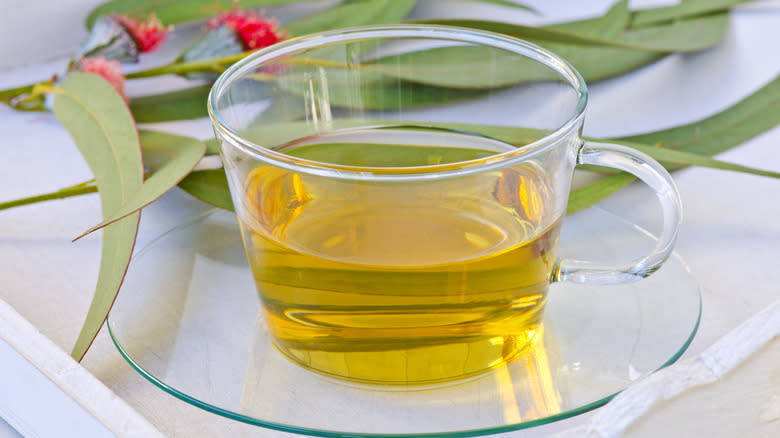 eucalyptus leaves behind tea cup