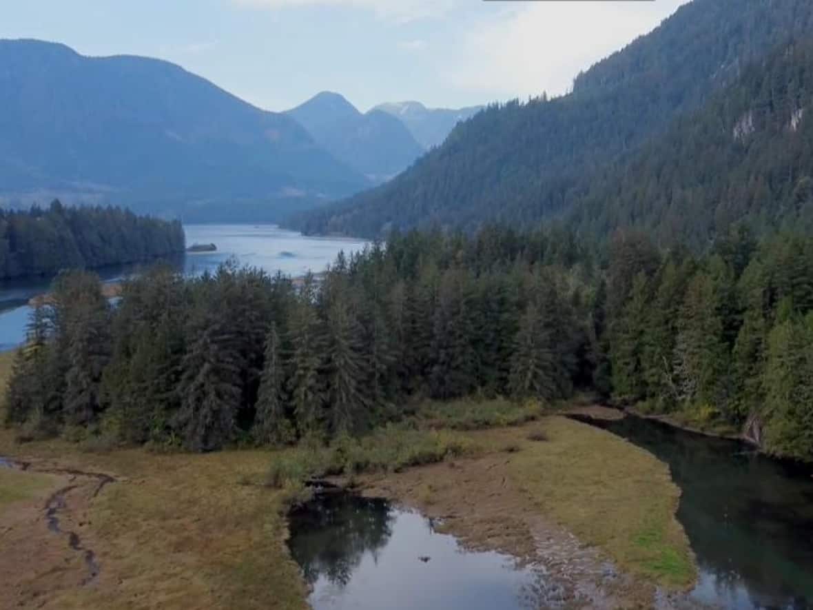 Loughborough Inlet on the B.C. coast is a culturally and ecologically significant area for the Wei Wai Kum First Nation. Timothy Holland illegally logged cedar in the area from 2017 to 2020. (Wei Wai Kum First Nation - image credit)