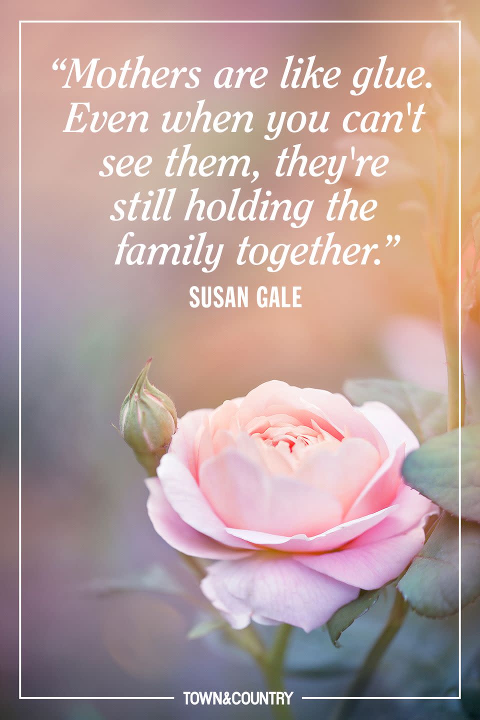 <p>"Mothers are like glue. Even when you can't see them, they're still holding the family together."</p><p>- Susan Gale</p>